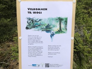 Mye flott informasjon om skog finner du nå langsetter stien opp  fra Kattmoen til Hauståsbua og videre ove toppen og ned mot RV2 og garswb Utgaarrd.
