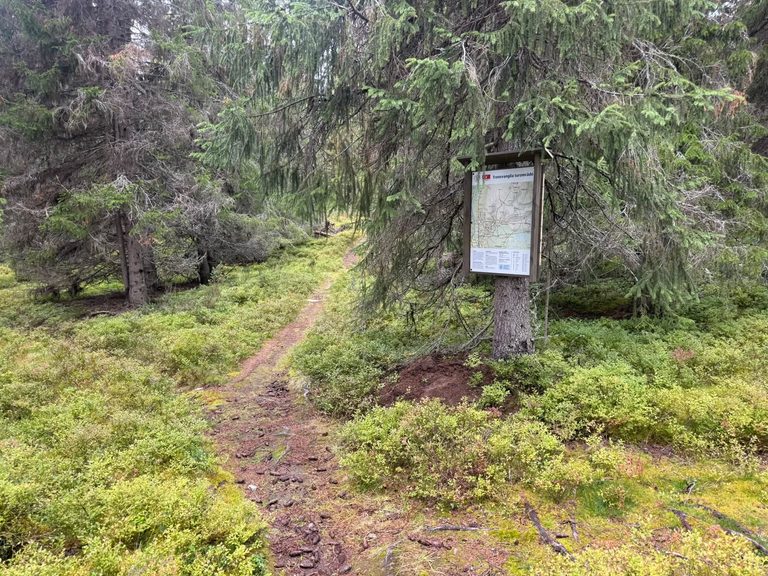 En sti gjennom lyng og skog leder fram til en kartplakat for Tronsvanglia turområde festet til et tre.